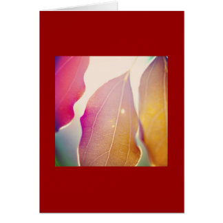 Le soleil brille à travers les Feuilles