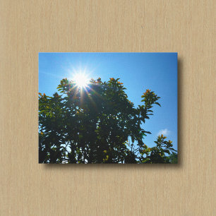 Le Soleil et Ses Rayons Sur un Arbre Toile Imprimé