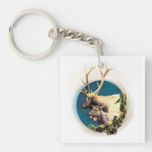 Le Stag et l'Arrière