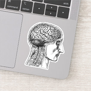 Le Sticker Médicale d'illustration du cerveau hum