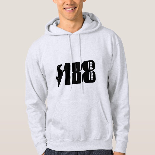 Le Sweat - shirt à capuche du logo du groupe de 18 (Devant)