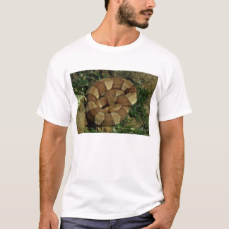 le T-shirt de copperhead des hommes large-réunis