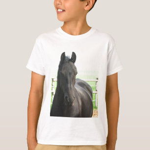 Le T-shirt de l'enfant frison de cheval
