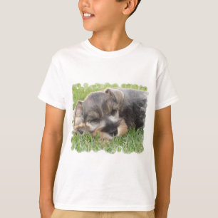Le T-shirt de l'enfant sommeillant de Schnauzer
