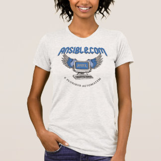 Le T-shirt des femmes de "ordinateur de vol"