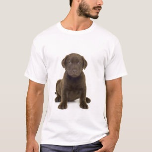 Le T-shirt des hommes de Labrador de chocolat