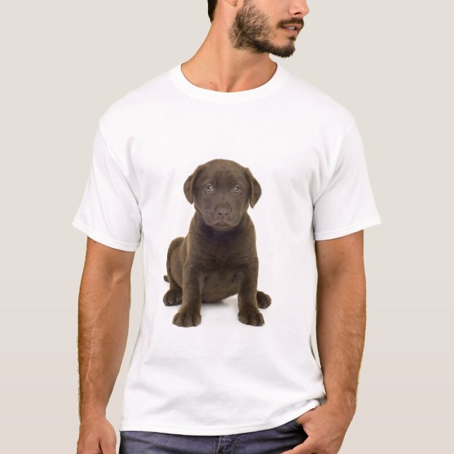 Le T-shirt des hommes de Labrador de chocolat (Devant)