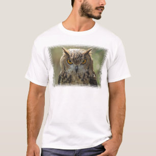 Le T-shirt des hommes de photo de hibou