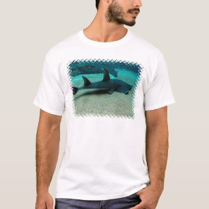 Le T-shirt des hommes de requin de sable