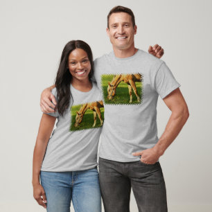 Le T-shirt du mec du Palomino Horse Grazing