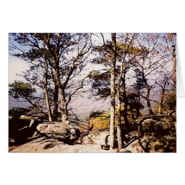 Le Tennessee Wilds (Devant horizontal)