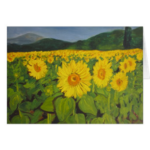 Le terrain de tournesol