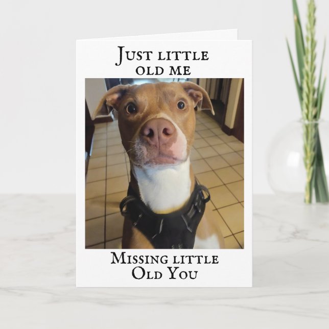 **LE TERRIER VOUS MANQUE SUR VOTRE CARTE D'ANNIVER (Devant)