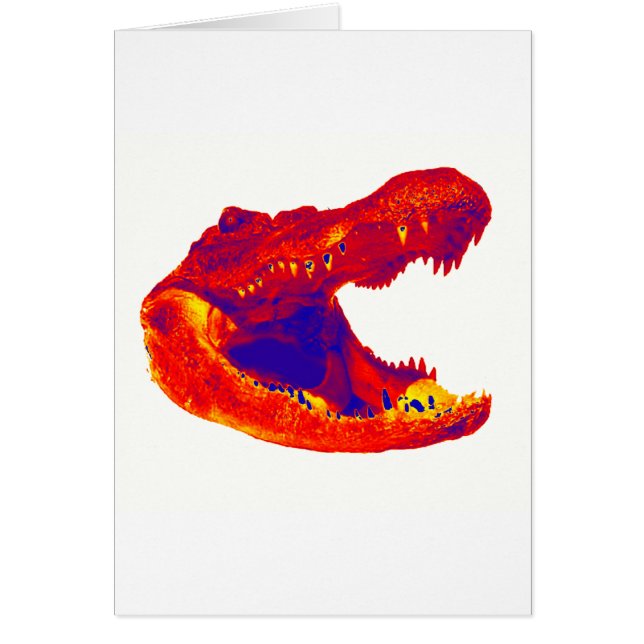 LE TERRITOIRE D'ALLIGATOR (Devant)