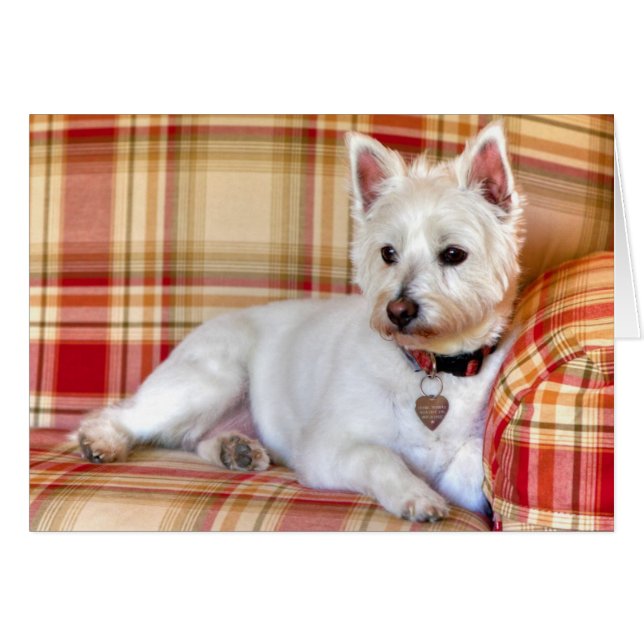 Le Tour De Luxe (Devant horizontal)