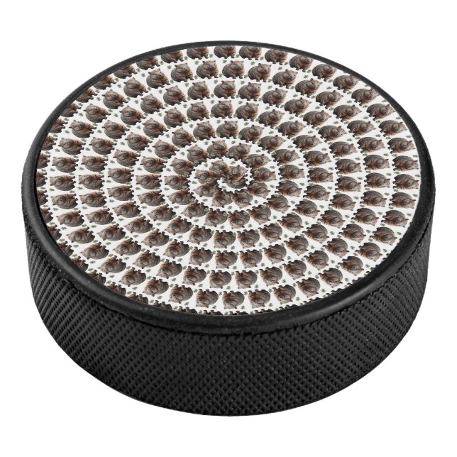 Le tourbillon de Wombat : une spirale de merveille (3/4/2016 12:00:00 AM)