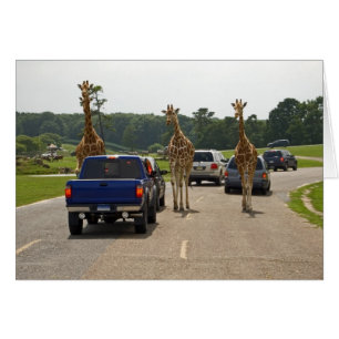 Le trafic approchant