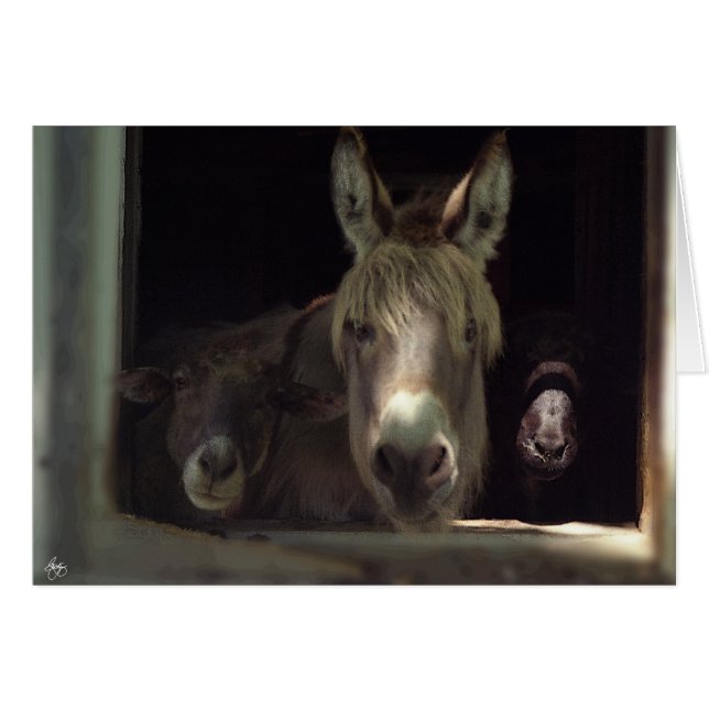 Le trio curieux (Devant horizontal)