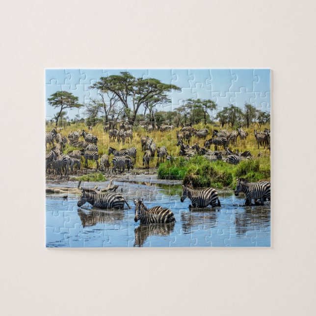 Le troupeau de zèbres dans le puzzle sauvage (Horizontal)
