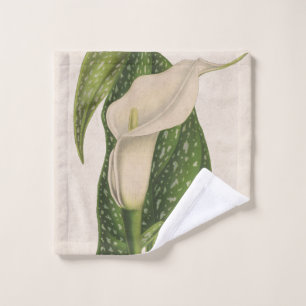 Le vert vintage de zantedeschia de fleur laisse le