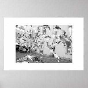 Le Volet - Impression encadrée