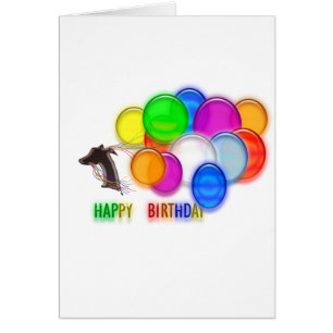 Le whippet célèbrent !