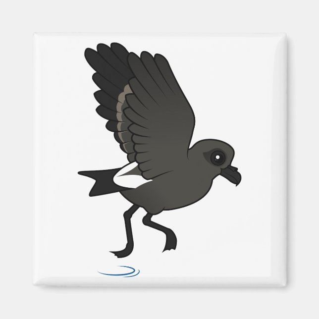 Leach's Storm Petrel (flutter) Magnet (Front)