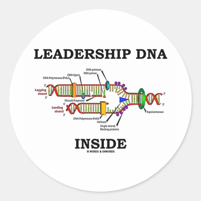 Leadership DNA Inside (DNA Replication) Classic Round Sticker (Front)