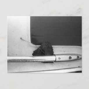 Leaf and Grab Rail Postcard