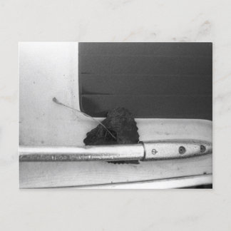 Leaf and Grab Rail Postcard