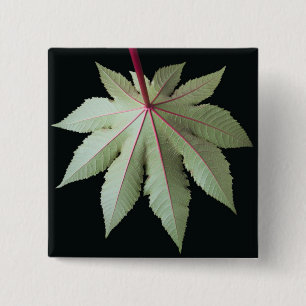 Leaf and Stem 2 Inch Square Button