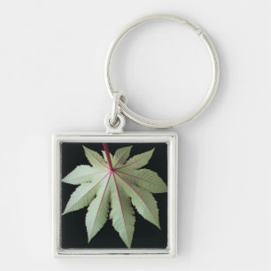 Leaf and Stem Keychain