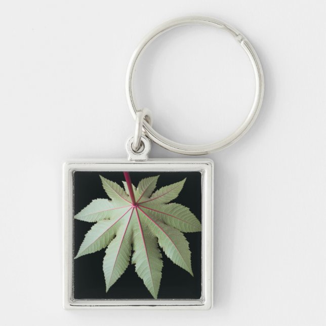 Leaf and Stem Keychain (Front)