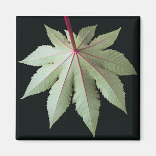 Leaf and Stem Magnet