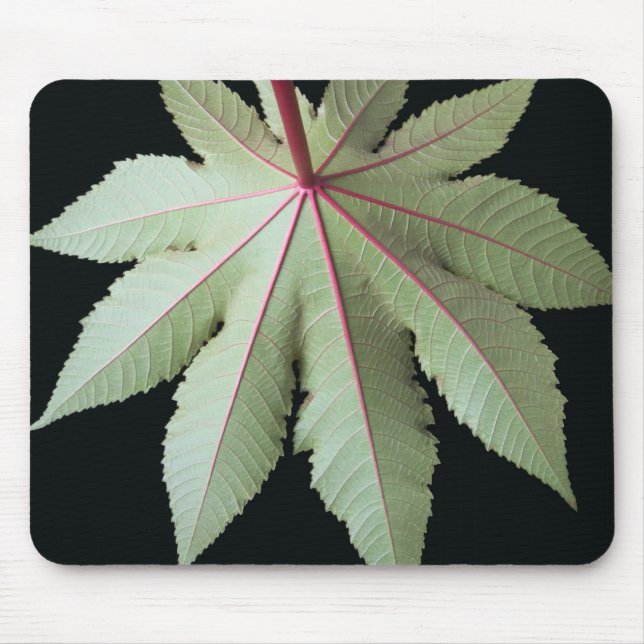Leaf and Stem Mouse Pad (Front)
