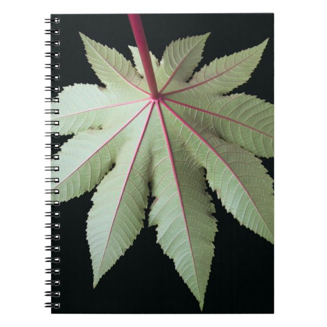 Leaf and Stem Notebook (Front)