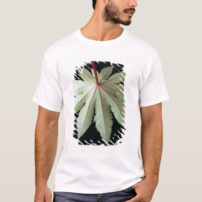 Leaf and Stem T-Shirt (Front)