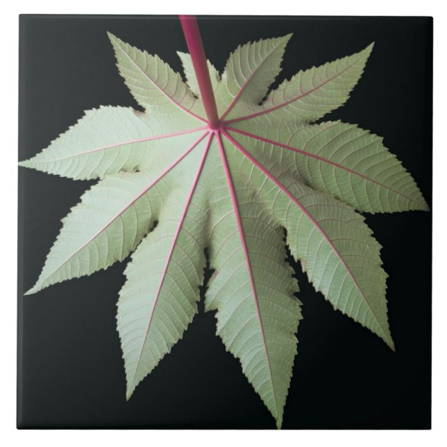 Leaf and Stem Tile (Front)