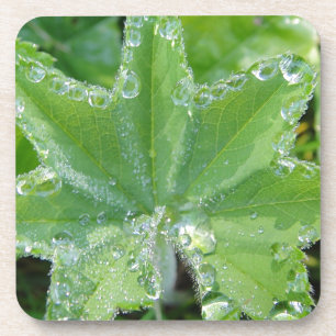 Leaf and waterdrops coaster