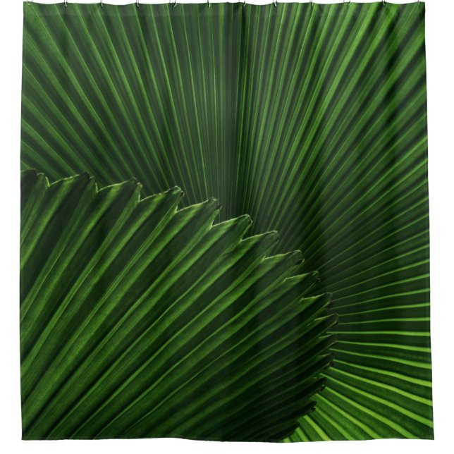 Leaf Background (Front)
