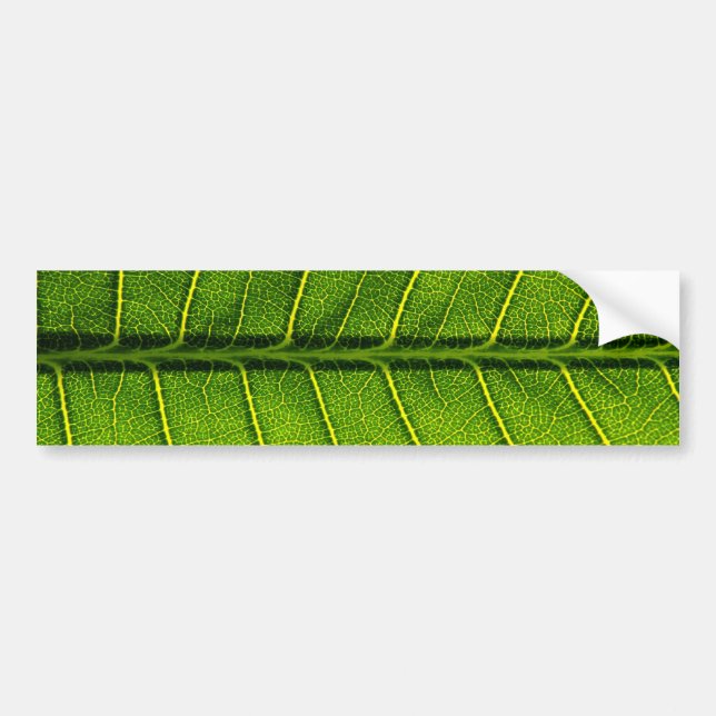 Leaf Bumper Sticker (Front)