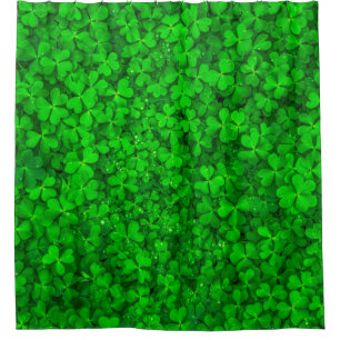 Leaf clover green shamrock spring