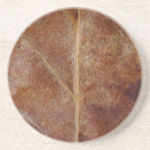 Leaf Coaster