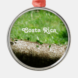 Leaf Cutter Ants in Costa Rica Metal Ornament
