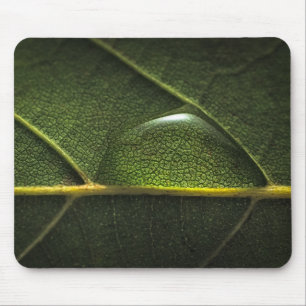 Leaf Droplets Mouse Pad