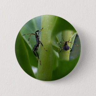 Leaf Footed Bug ~ button