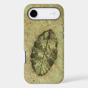 Leaf Fossil