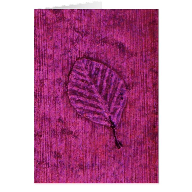 Leaf Fossil Magenta (Front)
