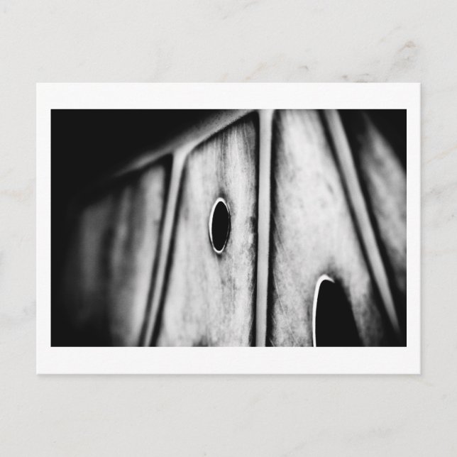 leaf is home postcard (Front)