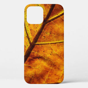 Leaf leaf veins fall texture iPhone 12 case